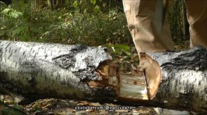 Топор Ушкуй под обратный всад от УРМ Аника. Топор Аник?