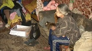 Рейд по неблагополучным семьям.wmv