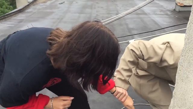 В стране чудес и не такое случится смотреть онлайн