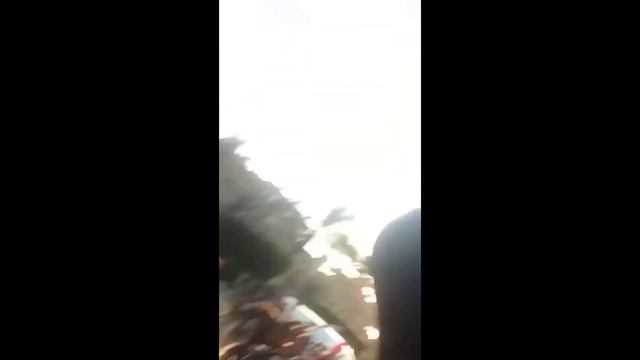 😂 СМЕЙТЕСЬ без остановки с этими забавными котиками 😹 ─ Самое смешное видео с выражениями кошек � смотреть онлайн