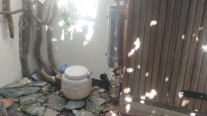 Курица горячего копчения за 2,5 часа и температуре 120 гр