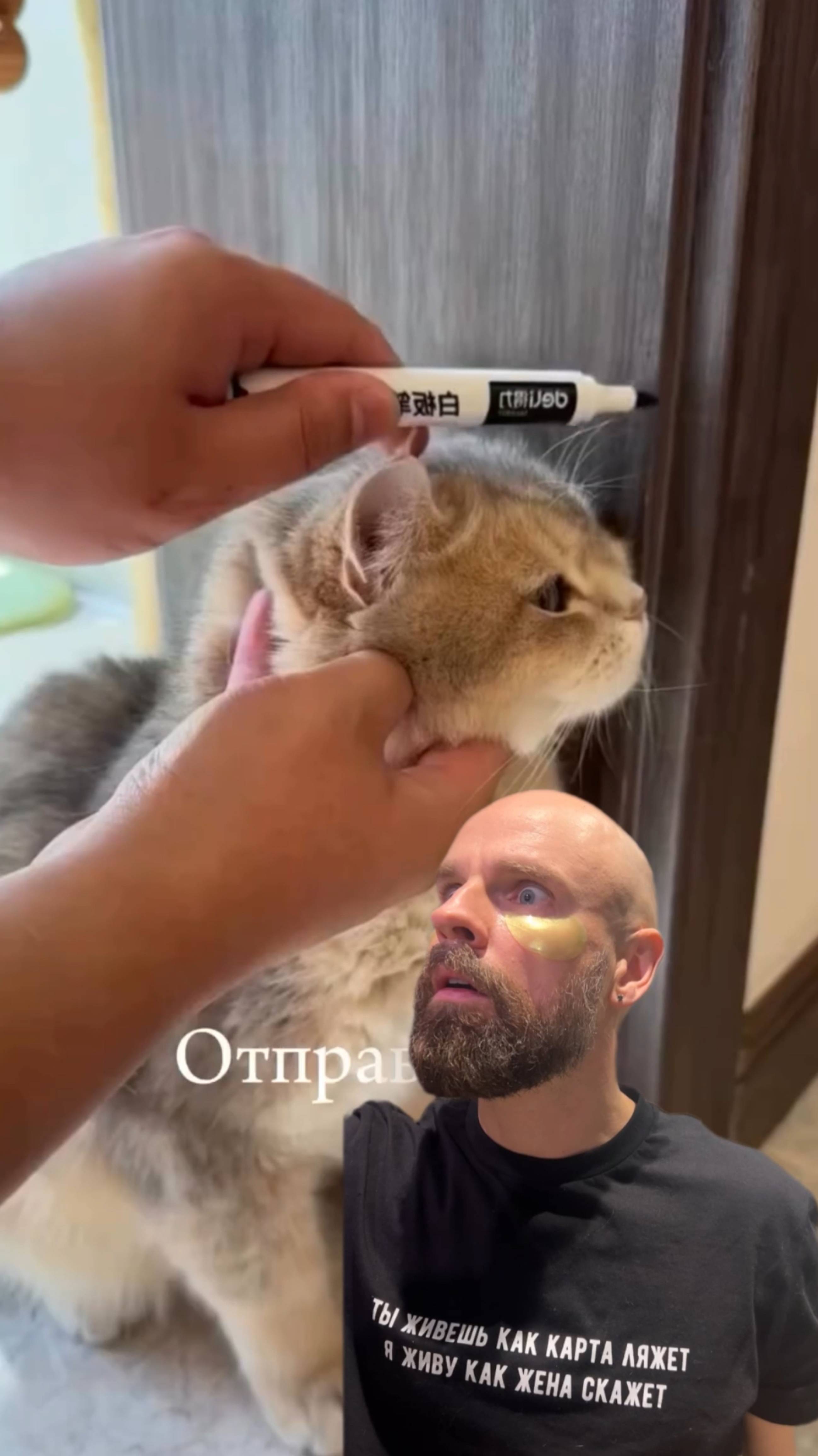 Вот знак, который вы искали!
Угловая чесалка для кошек🤔 смотреть онлайн