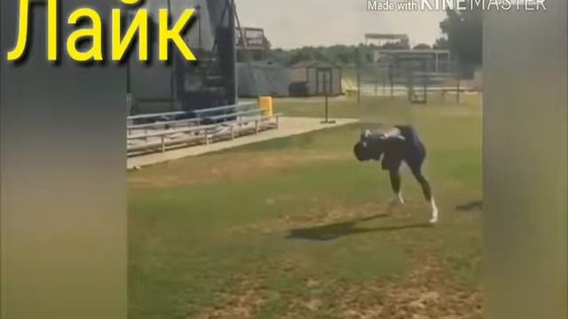 Приколы этого месяца смотреть онлайн