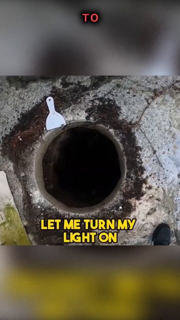 Колодец Убиенных Душ? #TSL, #TIL, #QuickShorts.