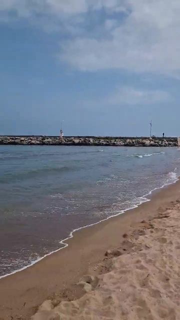 Шум моря и собачки. Ağva, Şile, İstanbul