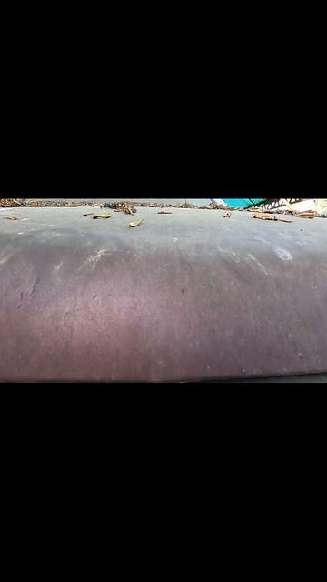 Купил заброшенный Святогор: 13 лет без движения #азлк # смотреть онлайн