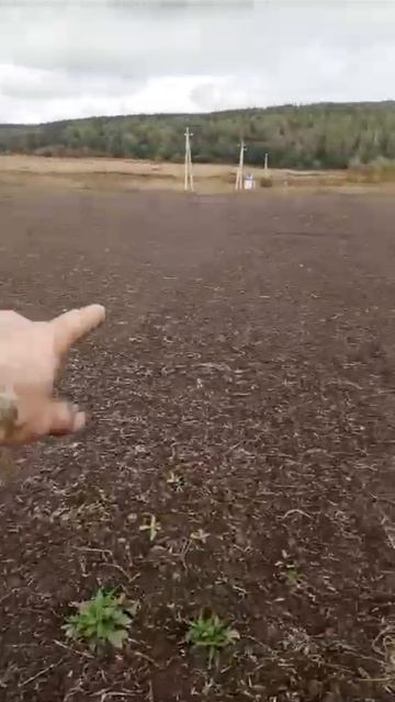 сев озимой пшеницы.часть 2 смотреть онлайн