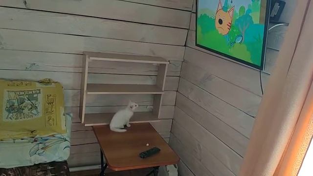 Сосун смотрит мультик#СОСУН