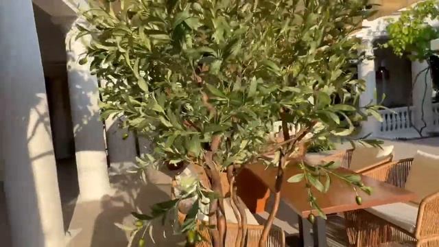 Веранда с колонами внутри #декор смотреть онлайн