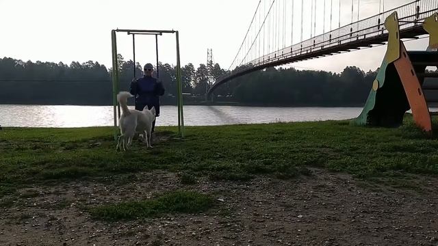 Мои крылатые качели 2020 смотреть онлайн