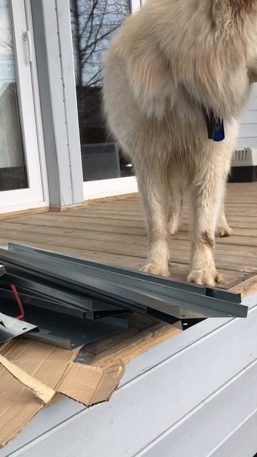 У меня будет новая грядка, да Ричик смотреть онлайн