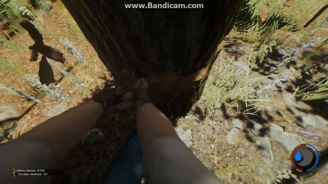 Дмитрий! Верь мне! смотреть онлайн