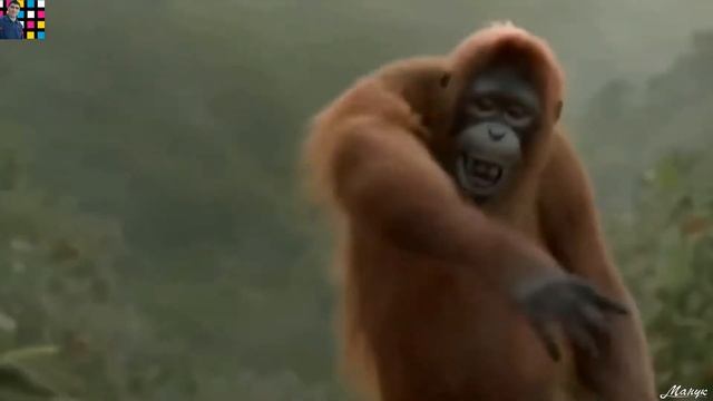 Вот это песня!!! Рыжая…( Александр Бешеный)