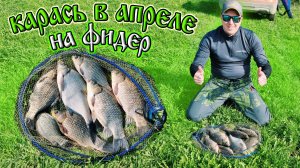 Карась на фидер в апреле. Рыбалка на карася весной на фидер.
