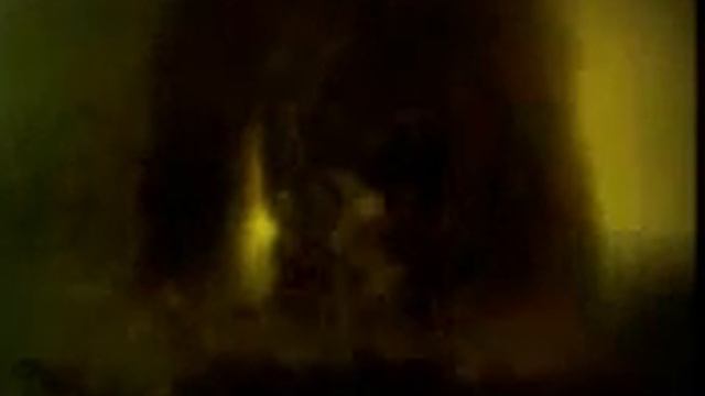 Копия видео ежик))))) смотреть прикол) смотреть онлайн