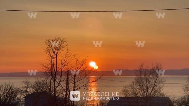СНТ Тюльпан смотреть онлайн