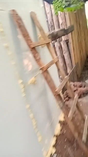 утепление сарая🤪#woodworking #wood #cat смотреть онлайн