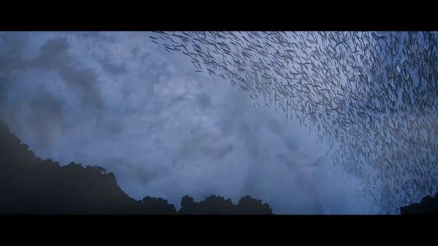 HD фильм "Ураган: Одиссея ветра" - новинка! смотреть онлайн