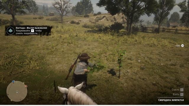 Red Dead Redemption 2 ОНЛАЙН # 4. Охота, торговля и выполнение заданий