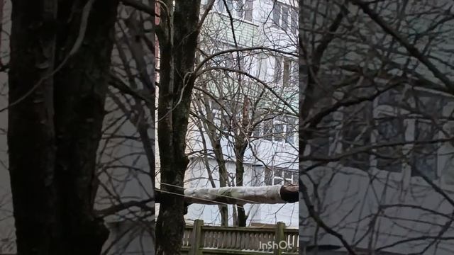 17 января 2024 г. смотреть онлайн