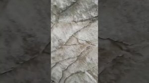 Подпорная стена из арт-бетона #арт-бетон