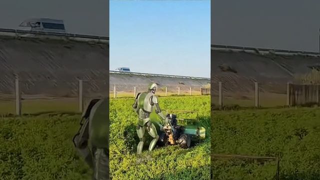 Помощь на дачном загородном участке смотреть онлайн