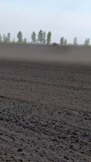 Посев сахарной свеклы смотреть онлайн
