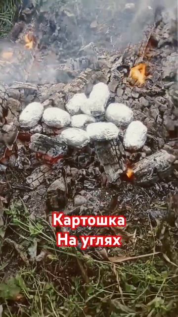 картошка на углях смотреть онлайн