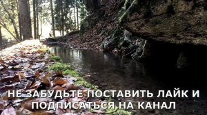 С подругой мамы тесно парились в бане...Интересные ист?