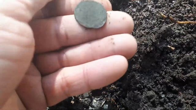 первый  поиск  2021