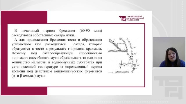 Хлебопекарные свойства пшеничной муки_Ч1 | Лектор - Любимова Ольга Ивановна
