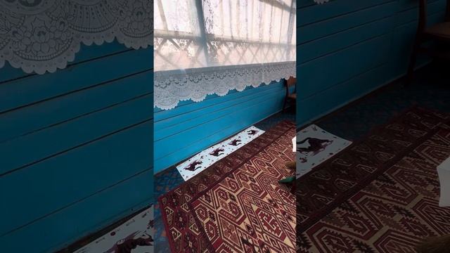 Весенняя уборка веранды смотреть онлайн
