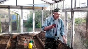 Почему я не провожу предпосевную обработку теплицы марганцовкой, перманганатом калия.