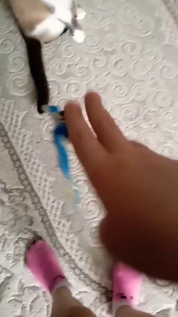 21 февраля 2024 г. смотреть онлайн