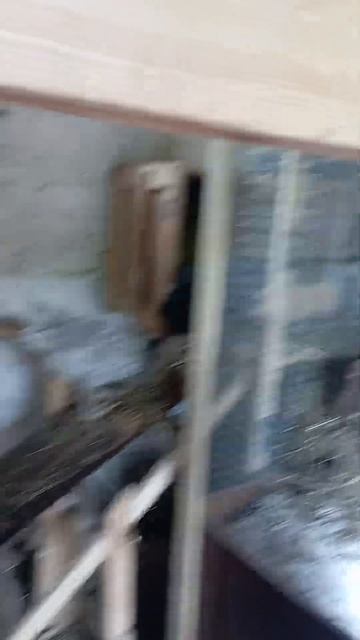 курятник у сэс(1)