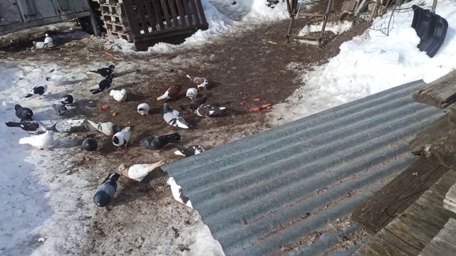 а вот и мы а вы не ждали!? 😁✌ смотреть онлайн
