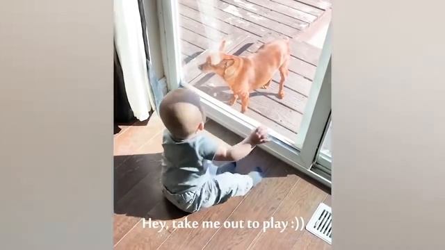 Самые смешные дети исследуют мир на природе Funniest Babies смотреть онлайн