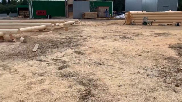 Обзор сруба для Владислава от 24.07.2021 Сямженский лес. смотреть онлайн