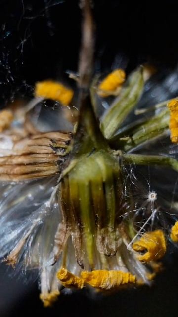 Природа🌱на Даче в ночное время, прекрасные формы Жиз? смотреть онлайн