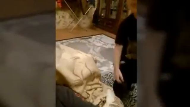 дети ругаются матом #2 смотреть онлайн