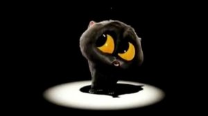 котик смешно поёт