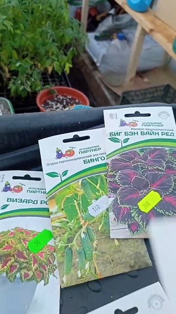 27.02.24-часть4.Подрастюшино #рассада #томаты #петуния #теп смотреть онлайн