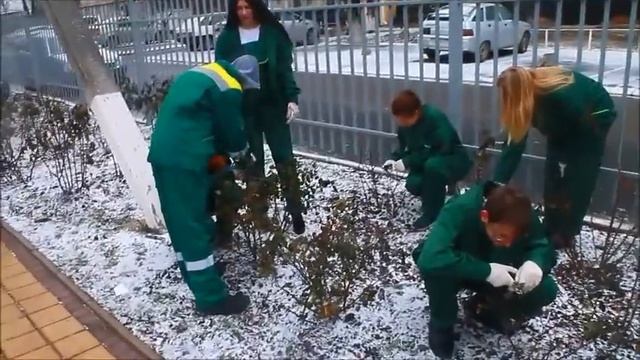 Растениеводы