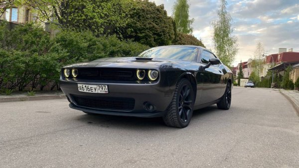 Dodge Challenger 3.6 AT, 2017, 98 000 км