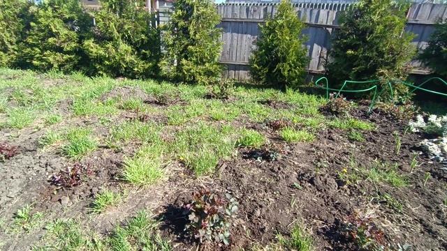 Почему так произошло. смотреть онлайн