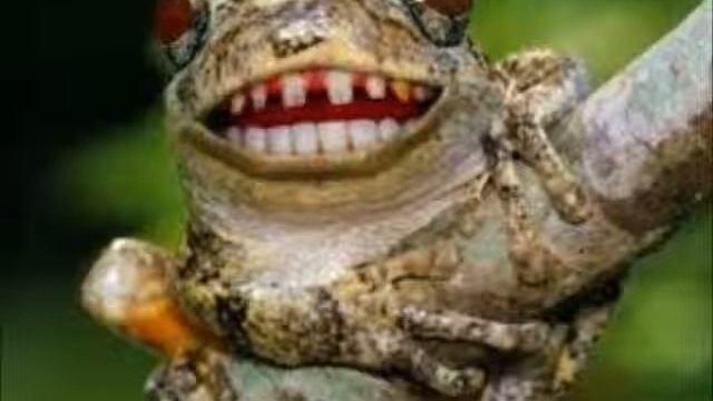 За чистоту расы Марк Эндлин смотреть онлайн