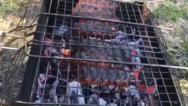 новые свежие приколы смотреть онлайн
