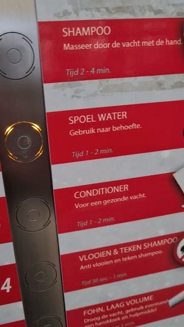 Как помыть собаку на профессиональной мойке Моем Мию