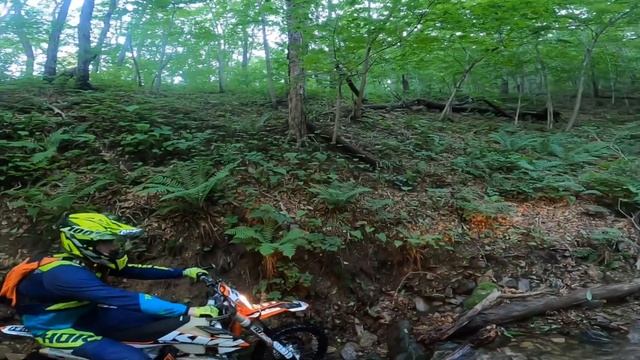 Хардовый ручей