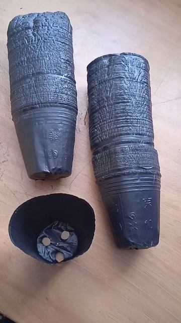 Горшки полиэтиленовые 1р #петуния #стаканчики #горшки # смотреть онлайн